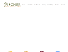 Tablet Screenshot of fischersinc.com